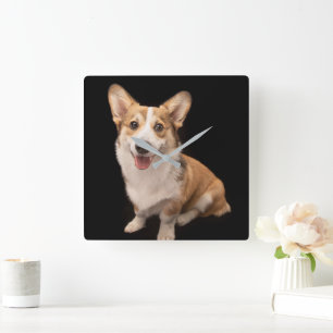 Horloge Carrée Animaux de bébés cutest   Corgi Puppy Smile