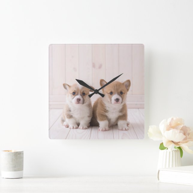 Horloge Carrée Animaux de bébés cutest | Deux Bébés Corgis assis (Maison)