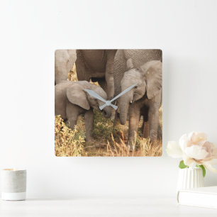 Horloge Carrée Animaux de bébés cutest   Deux jeunes éléphants