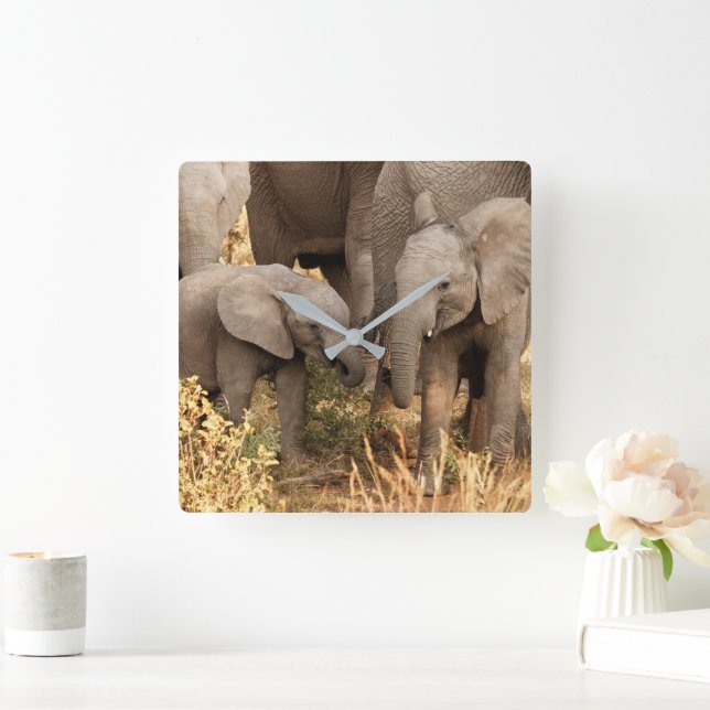 Horloge Carrée Animaux de bébés cutest | Deux jeunes éléphants (Maison)