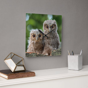 Horloge Carrée Animaux de bébés cutest Deux jeunes hiboux