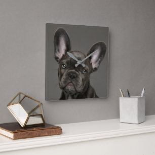 Horloge Carrée Animaux de bébés cutest   French Bulldog