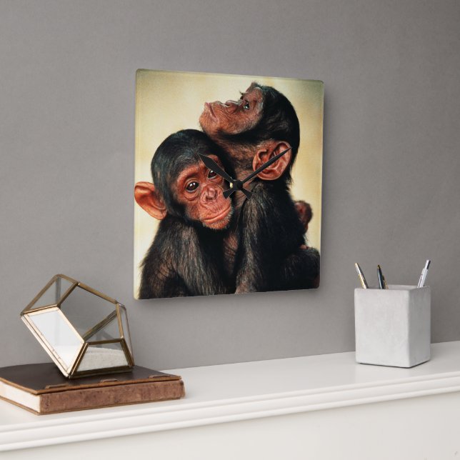 Horloge Carrée Animaux de bébés cutest | Hug de chimpanzé (Bureau)