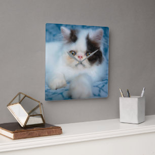Horloge Carrée Animaux de bébés cutest Kitten noir et blanc