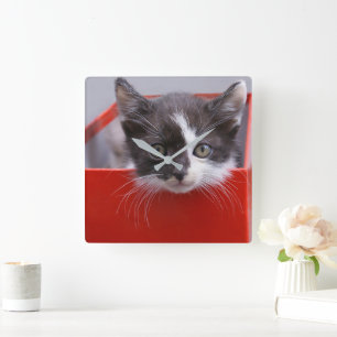 Horloge Carrée Animaux de bébés cutest   Kitten noir et blanc