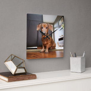 Horloge Carrée Animaux de bébés cutest   Mini chiot