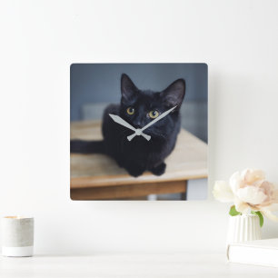 Horloge Carrée Animaux de bébés cutest Portrait d'un chat noir