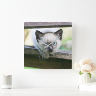 Horloge Carrée Animaux de bébés cutest   Siamese Kitten 2