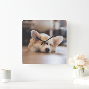Horloge Carrée Animaux de bébés cutest   Sleepy Corgi