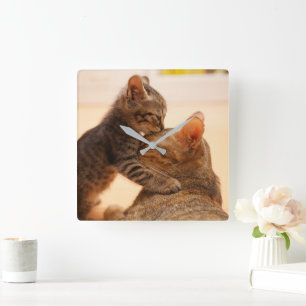 Horloge Carrée Animaux de bébés cutest   Tabby Kitten Kiss