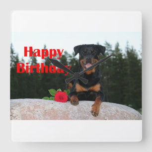 Horloge Carrée anniversaire heureux de rottweiler