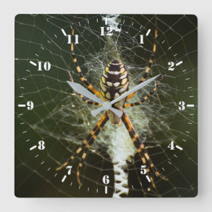 Horloge Carrée Araignée de jardin noire et jaune