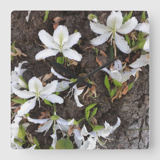 Horloge Carrée Arbre (Recto)