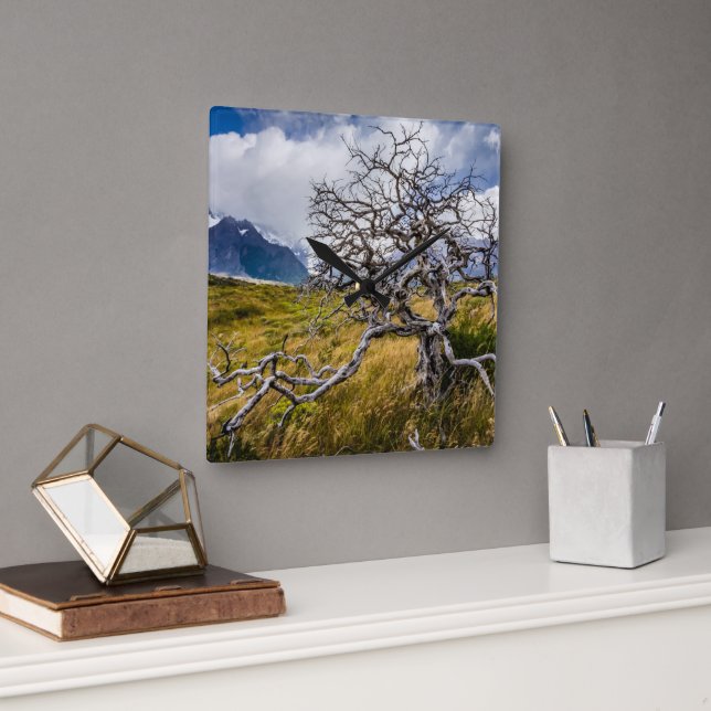 Horloge Carrée Arbre brûlé, Torres del Paine, Chili (Bureau)