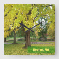 Arbre Gingko Jaune - Jardin public de Boston