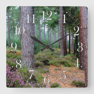Horloge Carrée Ashley Heath Woodland Hampshire, Angleterre