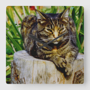 Horloge Carrée Attitude Cat