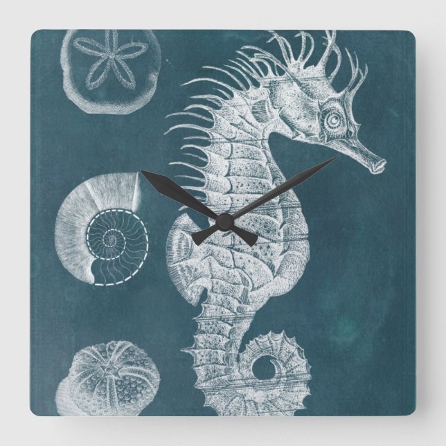Horloge Carrée Azure Seahorse Study I (Recto)