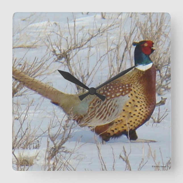 Horloge Carrée B22 Pheasant à cou circulaire en neige (Recto)