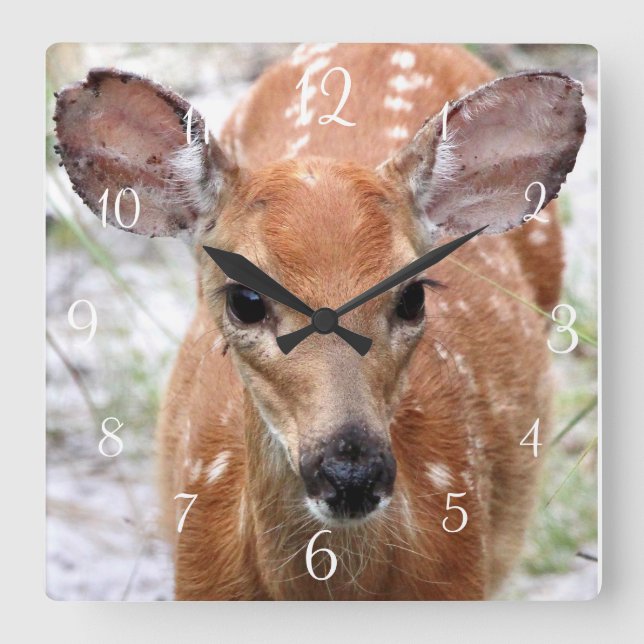 Horloge Carrée Baby Deer Wall (Recto)