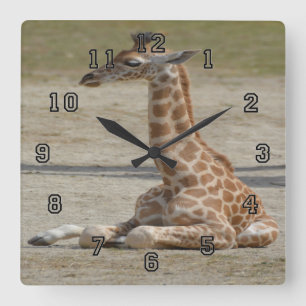 Horloge Carrée Baby Giraffe