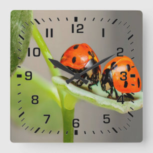 Horloge Carrée Baiser Ladybugs