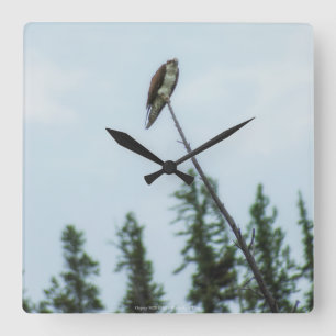 Horloge Carrée Balbuzard pêcheur 9028