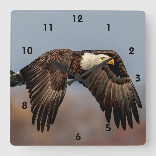 Horloge Carrée Bald Eagle en vol (Recto)