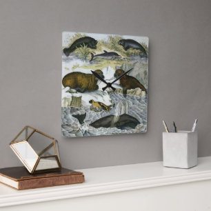 Horloge Carrée Baleines, phoques et morses, animaux marins vintag