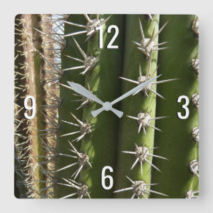 Horloge Carrée Barrel Cactus II Désert Nature Photo