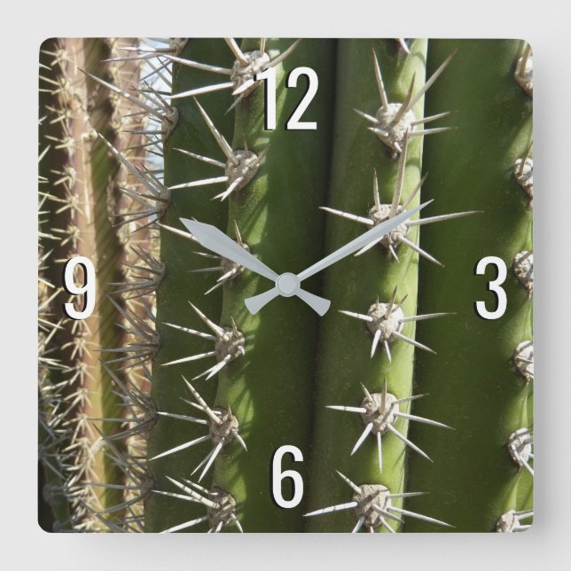 Horloge Carrée Barrel Cactus II Désert Nature Photo (Recto)