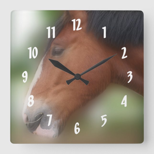 Horloge Carrée Bay Shire Draft Horse Face Animal (Recto)