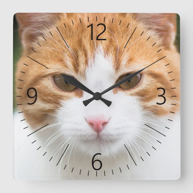 Horloge Carrée Beau chat rouge (Recto)