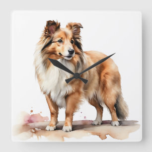 HORLOGE CARRÉE BEAU CHIEN FLUFY SHETLAND SHEEPDOG