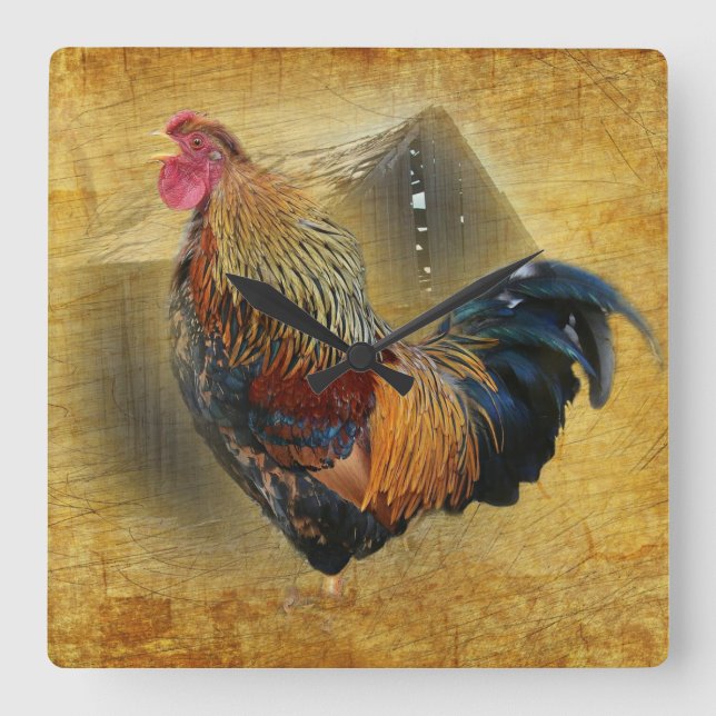 Horloge Carrée Beau coq et coop de poulet rustique (Recto)