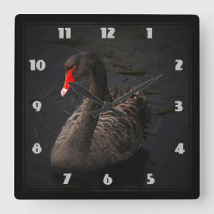 Horloge Carrée Beau cygne noir avec un bec rouge vif