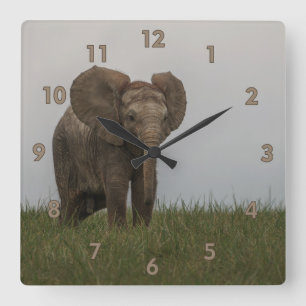Horloge Carrée Beau éléphant d'African Bush