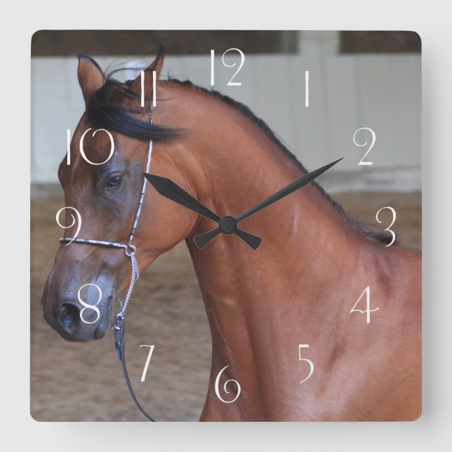 Horloge Carrée Beau étalon arabe pur-sang (Recto)