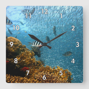 Horloge Carrée Beauté sous-marine, poisson et corail