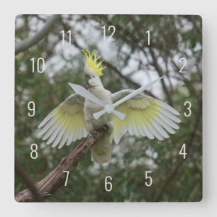 Horloge Carrée Beautiful Cockatoo Bird Parrot