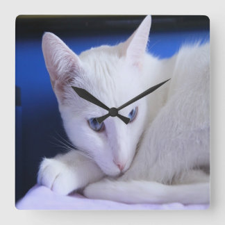 Horloge Carrée Belle Chat blanc / Ajouter la photo de votre anima