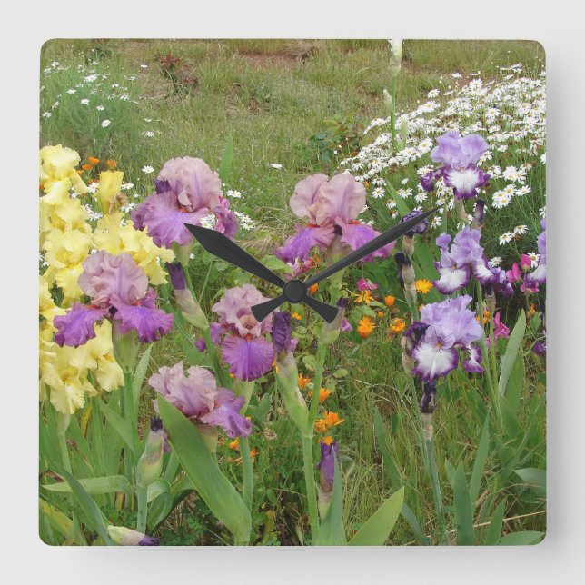 Horloge Carrée Belle Photo florale de fleur d'iris violet (Recto)
