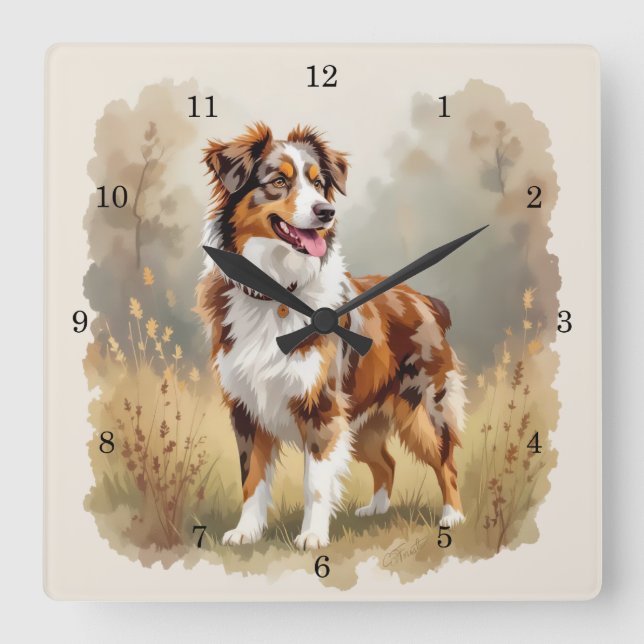 Horloge Carrée Berger Australien Red Merle (Recto)