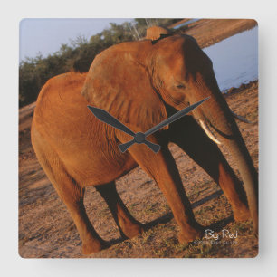 Horloge Carrée Big Red