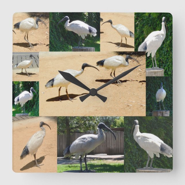 Horloge Carrée Bin Chicken Photo Collage, Wall Clock (Recto)