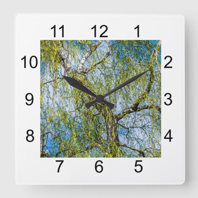 Horloge Carrée Birch tree - Le printemps est dans l'air (Recto)