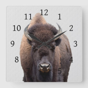 Horloge Carrée Bison Buffalo Photo 135