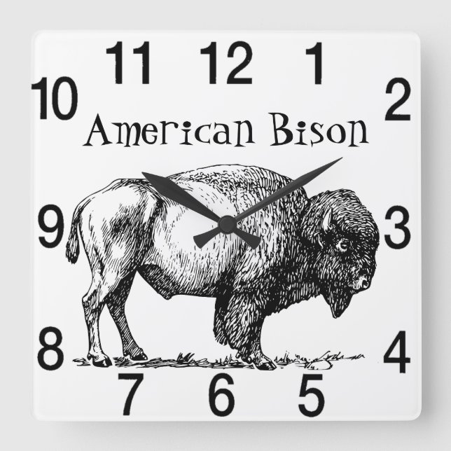 Horloge Carrée Bison de Buffalo américain (Recto)