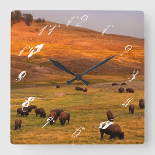 Horloge Carrée Bison frôlant sur la colline à la vallée de Hay