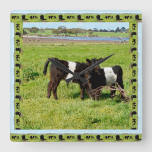 Horloge Carrée Black And White Baby Belted Galloway Cows,